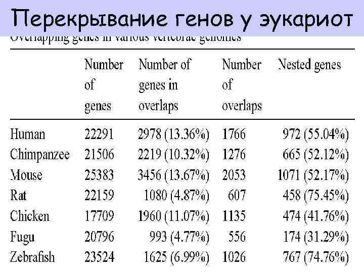 Перекрывание генов у эукариот 