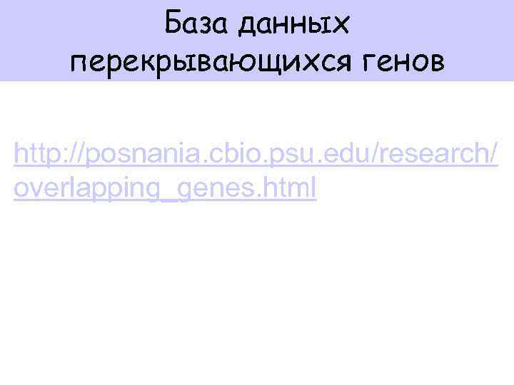 База данных перекрывающихся генов http: //posnania. cbio. psu. edu/research/ overlapping_genes. html 