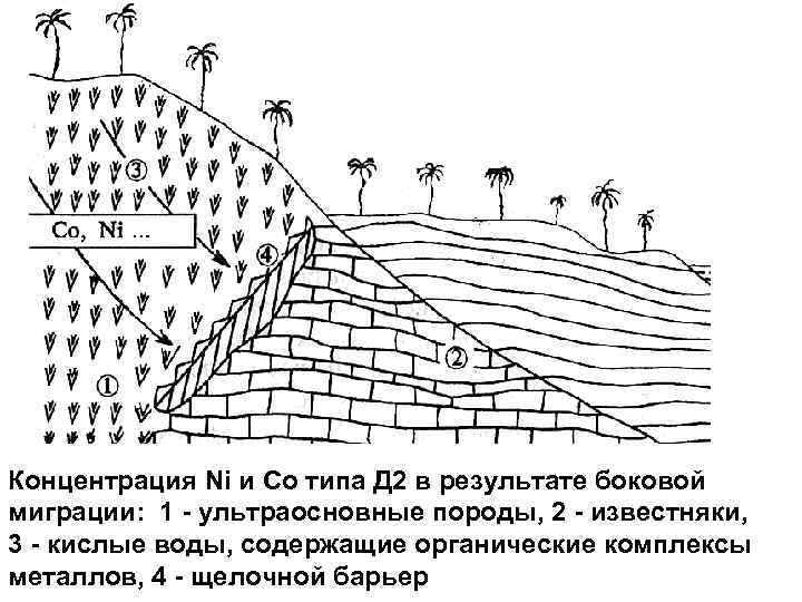 Концентрация Ni и Со типа Д 2 в результате боковой миграции: 1 - ультраосновные