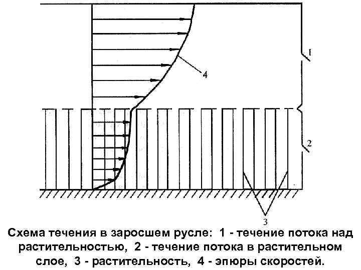 Схема течения в заросшем русле: 1 - течение потока над растительностью, 2 - течение