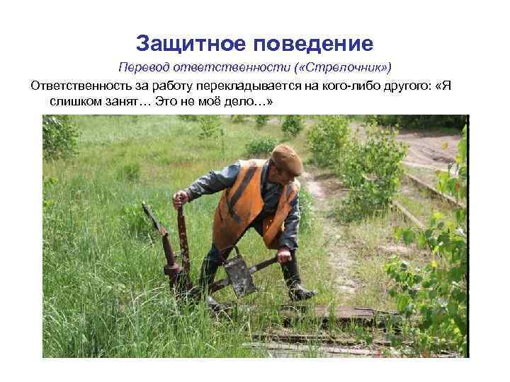 Защитное поведение Перевод ответственности ( «Стрелочник» ) Ответственность за работу перекладывается на кого-либо другого: