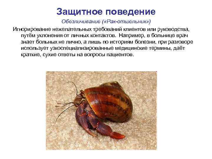 Защитное поведение Обезличивание ( «Рак-отшельник» ) Игнорирование нежелательных требований клиентов или руководства, путём уклонения