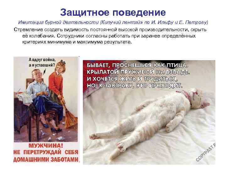 Защитное поведение Имитация бурной деятельности (Кипучий лентяй» по И. Ильфу и Е. Петрову) Стремление