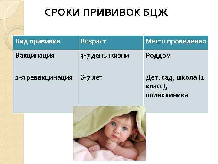 СРОКИ ПРИВИВОК БЦЖ Вид прививки Возраст Место проведения Вакцинация 3 -7 день жизни Роддом