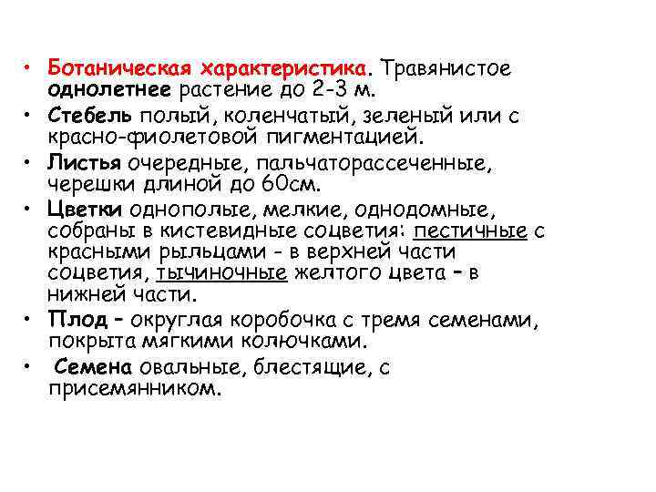  • Ботаническая характеристика. Травянистое однолетнее растение до 2 -3 м. • Стебель полый,