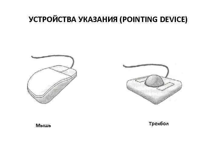 УСТРОЙСТВА УКАЗАНИЯ (POINTING DEVICE) Мышь Трекбол 