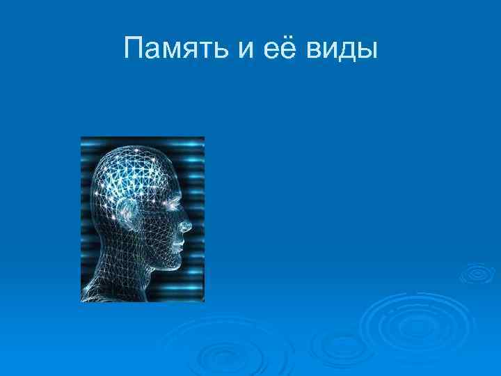 Память и её виды 