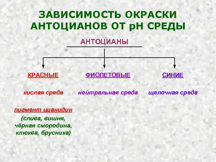 ЗАВИСИМОСТЬ ОКРАСКИ АНТОЦИАНОВ ОТ р. Н СРЕДЫ АНТОЦИАНЫ КРАСНЫЕ ФИОЛЕТОВЫЕ СИНИЕ кислая среда нейтральная