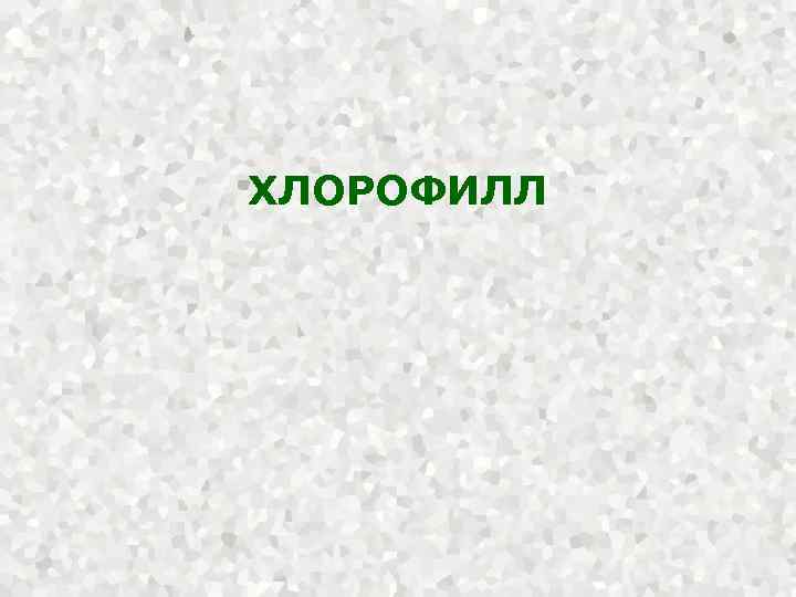 ХЛОРОФИЛЛ 