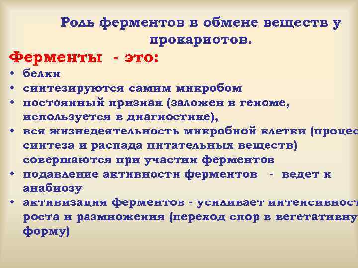 Роль ферментов в обмене веществ у прокариотов. Ферменты - это: • белки • синтезируются