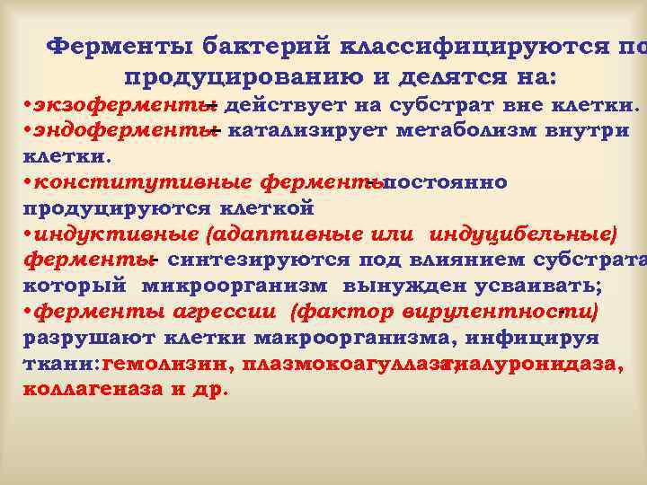 Ферменты бактерий классифицируются по продуцированию и делятся на: • экзоферменты действует на субстрат вне