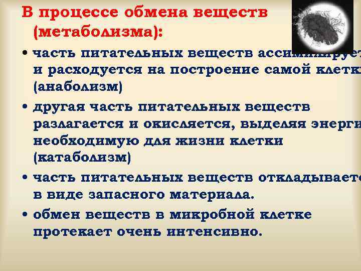 В процессе обмена веществ (метаболизма): • часть питательных веществ ассимилирует и расходуется на построение