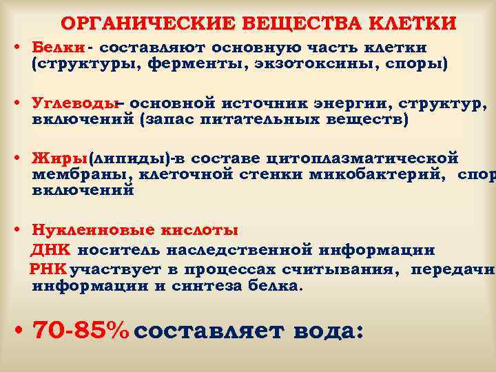 ОРГАНИЧЕСКИЕ ВЕЩЕСТВА КЛЕТКИ • Белки - составляют основную часть клетки (структуры, ферменты, экзотоксины, споры)