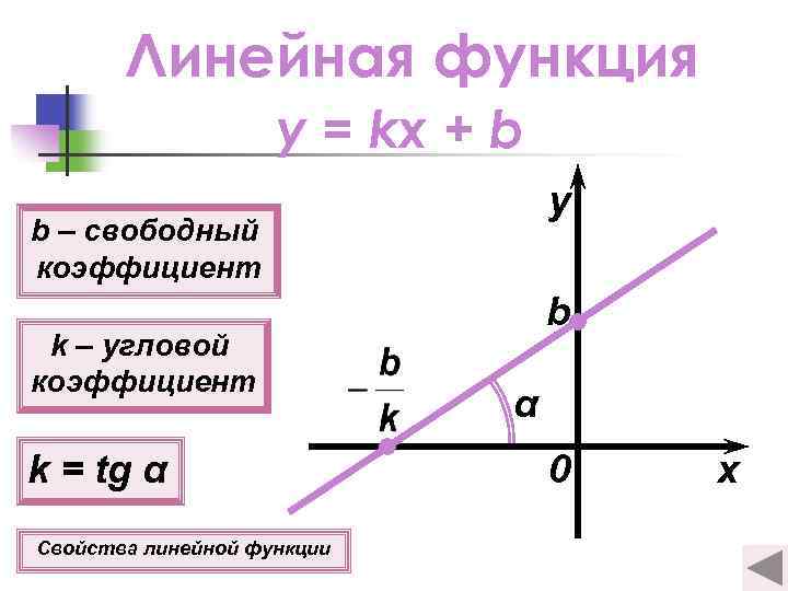 Линейная функция y = kx + b y b – свободный коэффициент k –