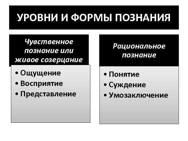 УРОВНИ И ФОРМЫ ПОЗНАНИЯ Чувственное познание или живое созерцание • Ощущение • Восприятие •