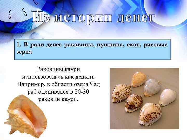 Из истории денег 1. В роли денег раковины, пушнина, скот, рисовые зерна Раковины каури