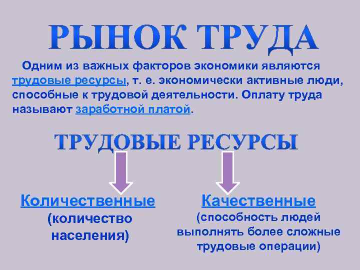  Одним из важных факторов экономики являются трудовые ресурсы, т. е. экономически активные люди,