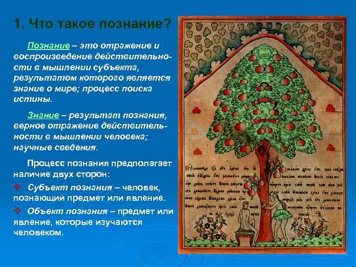 1. Что такое познание? Познание – это отражение и воспроизведение действительности в мышлении субъекта,