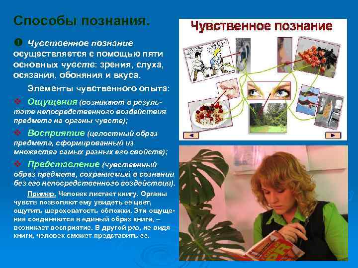 Способы познания. Чувственное познание осуществляется с помощью пяти основных чувств: зрения, слуха, осязания, обоняния