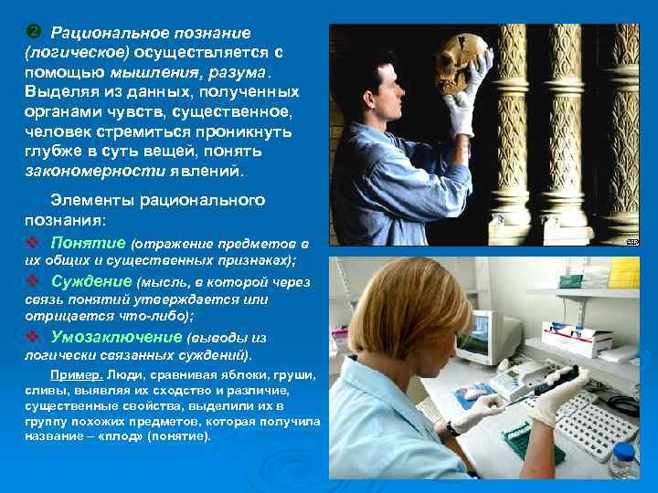  Рациональное познание (логическое) осуществляется с помощью мышления, разума. Выделяя из данных, полученных органами