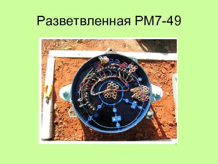 Разветвленная РМ 7 49 