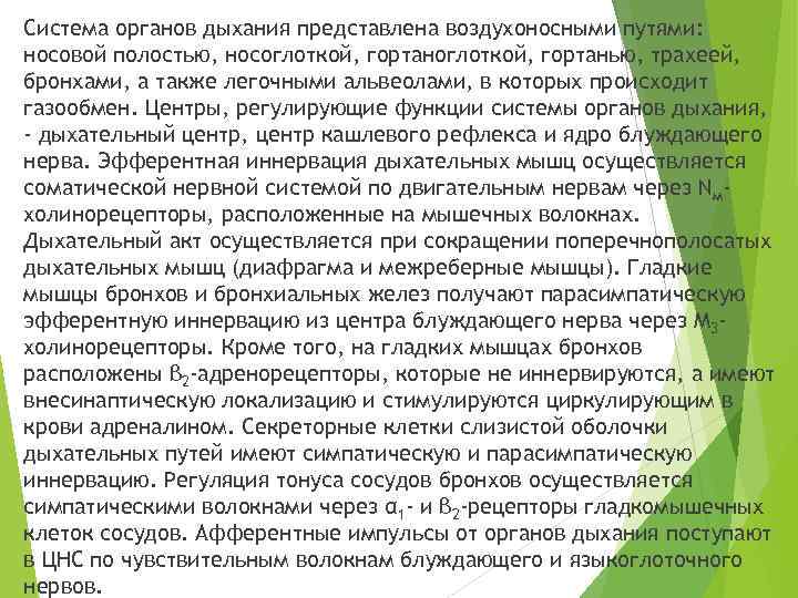 Система органов дыхания представлена воздухоносными путями: носовой полостью, носоглоткой, гортанью, трахеей, бронхами, а также