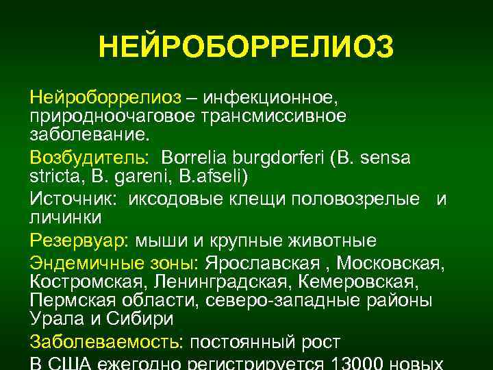 НЕЙРОБОРРЕЛИОЗ Нейроборрелиоз – инфекционное, природноочаговое трансмиссивное заболевание. Возбудитель: Borrelia burgdorferi (B. sensa stricta, B.