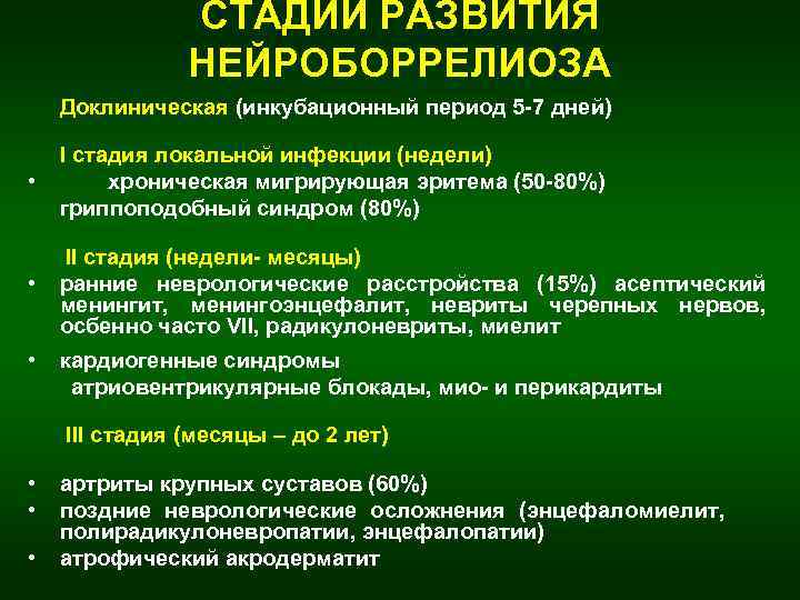 СТАДИИ РАЗВИТИЯ НЕЙРОБОРРЕЛИОЗА Доклиническая (инкубационный период 5 -7 дней) • I стадия локальной инфекции