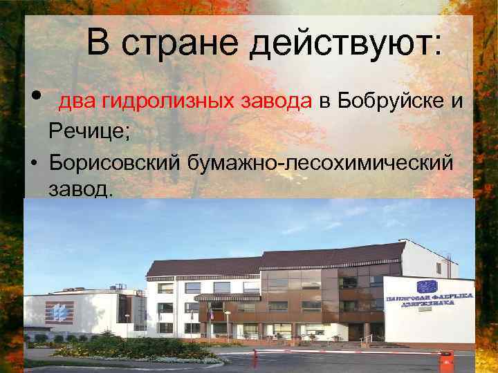 В стране действуют: • два гидролизных завода в Бобруйске и Речице; • Борисовский бумажно-лесохимический