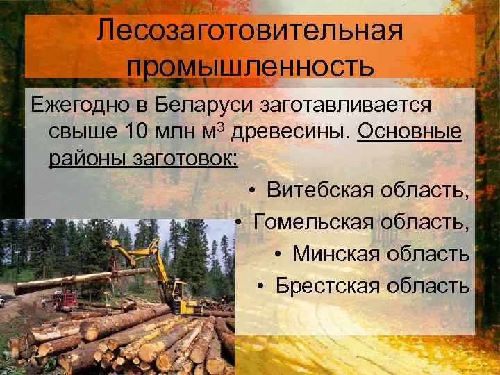 Лесозаготовительная промышленность Ежегодно в Беларуси заготавливается свыше 10 млн м 3 древесины. Основные районы