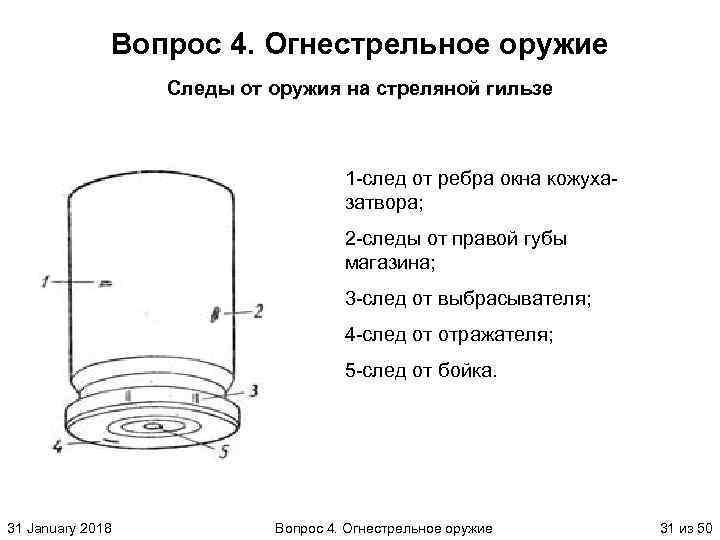 Описание гильзы криминалистика образец