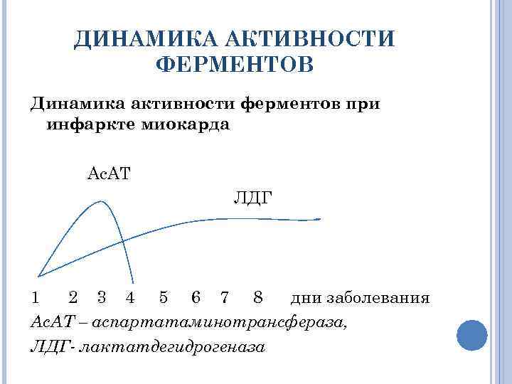 ДИНАМИКА АКТИВНОСТИ ФЕРМЕНТОВ Динамика активности ферментов при инфаркте миокарда Ас. АТ ЛДГ 1 2