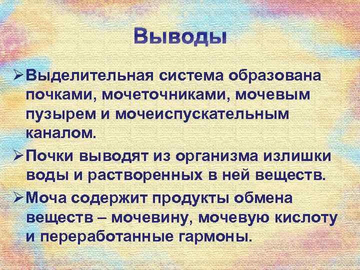 Выводы Ø Выделительная система образована почками, мочеточниками, мочевым пузырем и мочеиспускательным каналом. Ø Почки