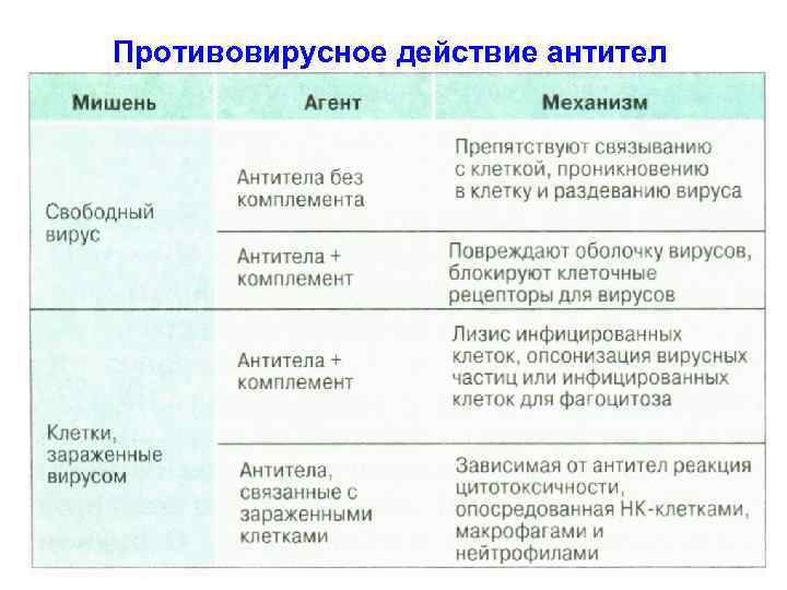 Противовирусное действие антител 
