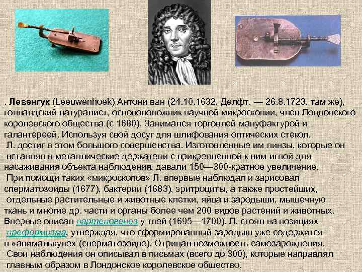 . Левенгук (Leeuwenhoek) Антони ван (24. 10. 1632, Делфт, — 26. 8. 1723, там