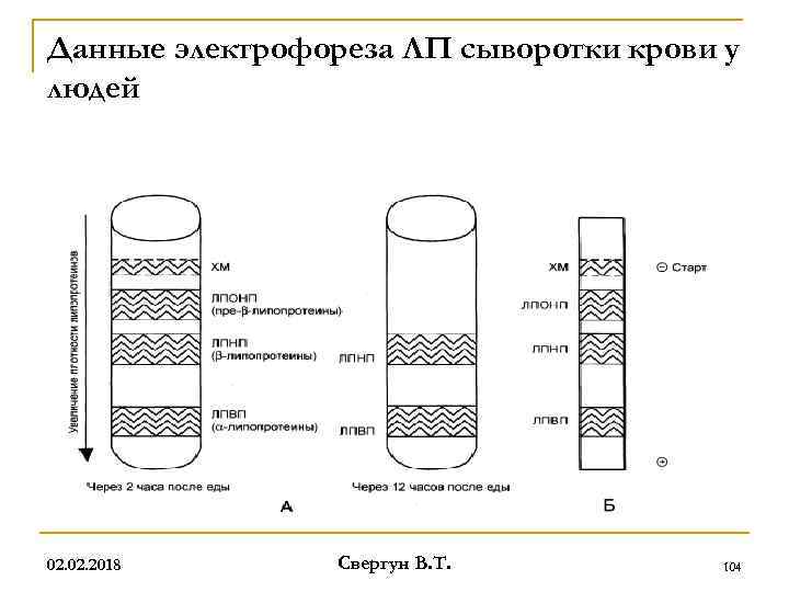Данные электрофореза ЛП сыворотки крови у людей 02. 2018 Свергун В. Т. 104 