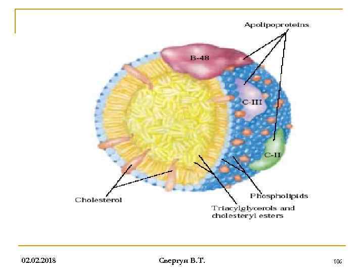02. 2018 Свергун В. Т. 106 