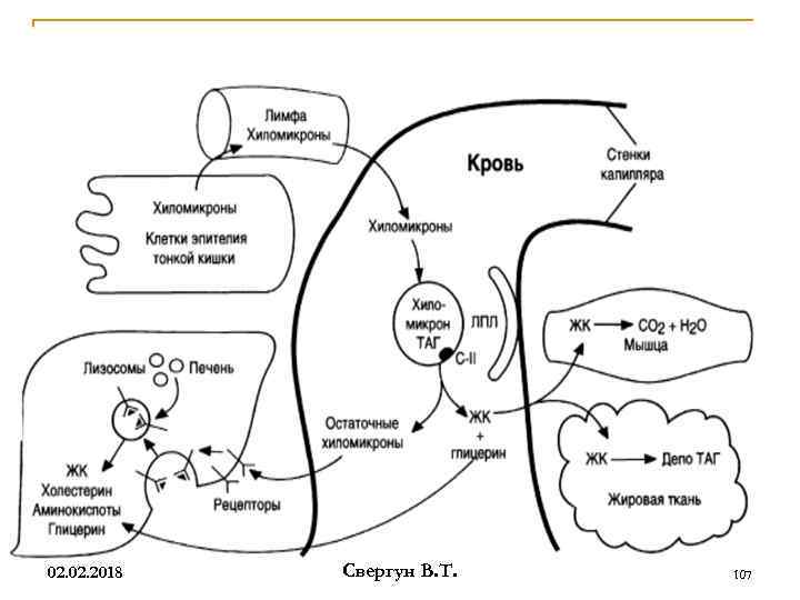 02. 2018 Свергун В. Т. 107 