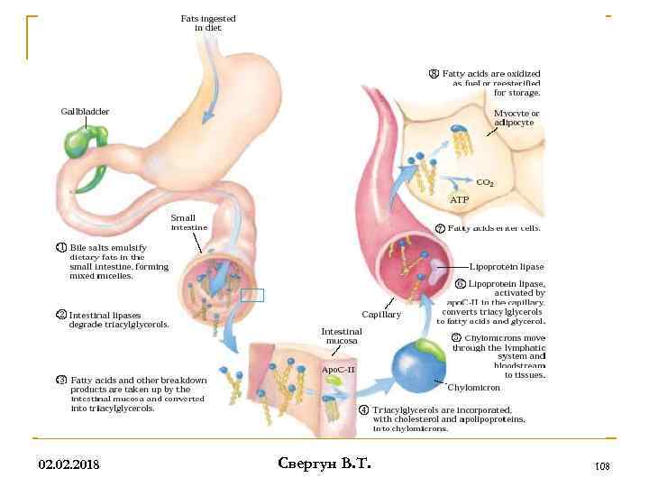 02. 2018 Свергун В. Т. 108 
