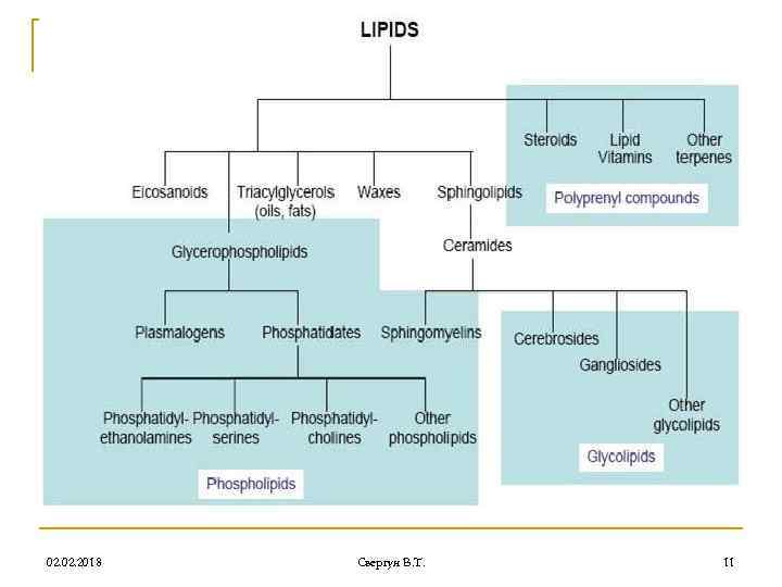 02. 2018 Свергун В. Т. 11 