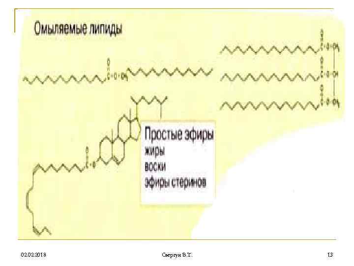 02. 2018 Свергун В. Т. 13 