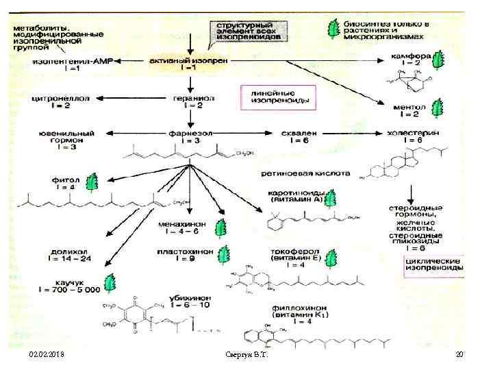 02. 2018 Свергун В. Т. 20 