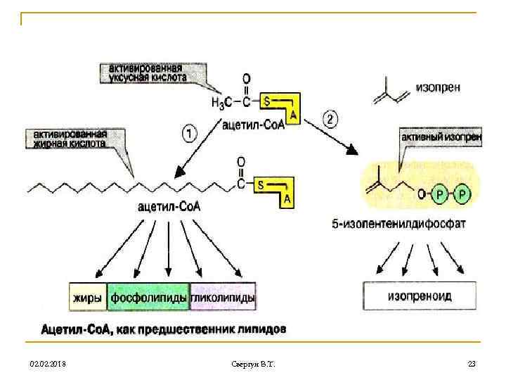 02. 2018 Свергун В. Т. 23 