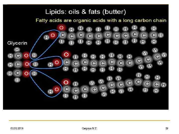 02. 2018 Свергун В. Т. 29 