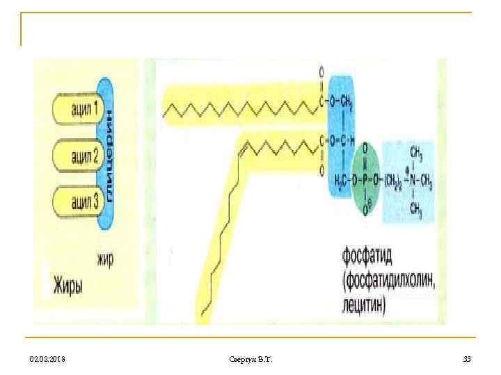 02. 2018 Свергун В. Т. 33 