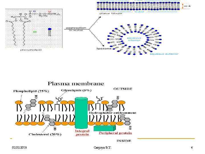 02. 2018 Свергун В. Т. 4 