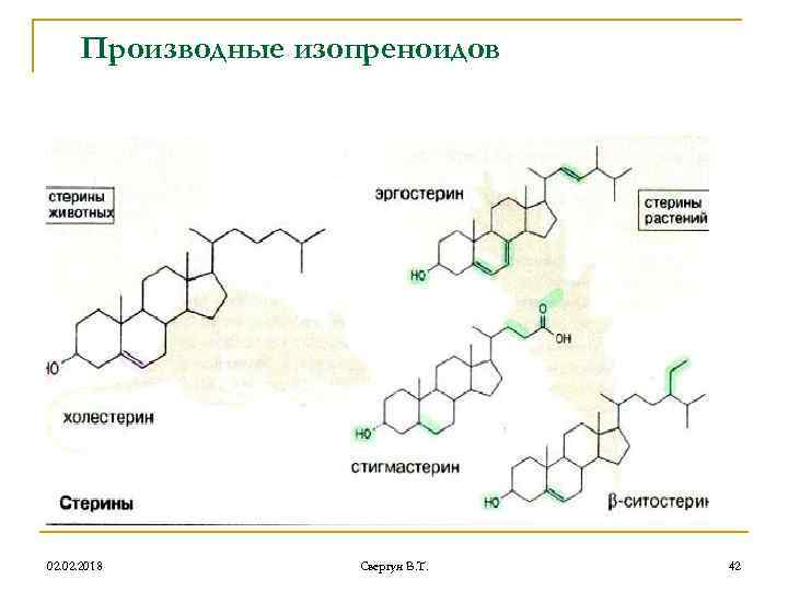 Производные изопреноидов 02. 2018 Свергун В. Т. 42 
