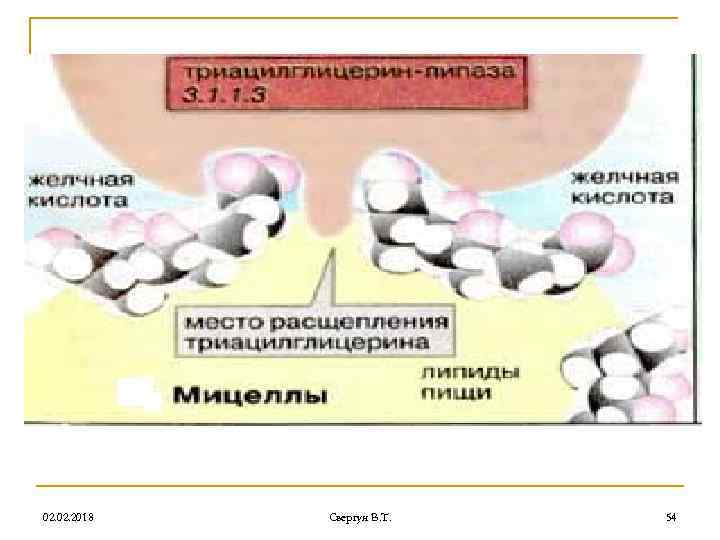 02. 2018 Свергун В. Т. 54 