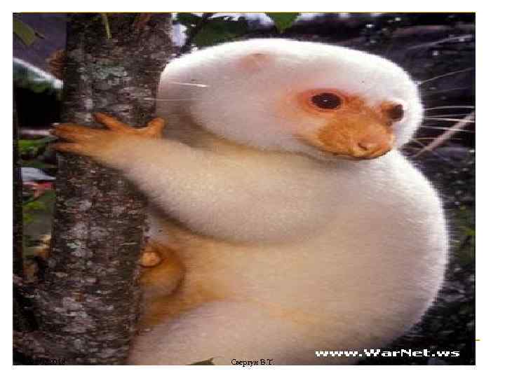 02. 2018 Свергун В. Т. 72 