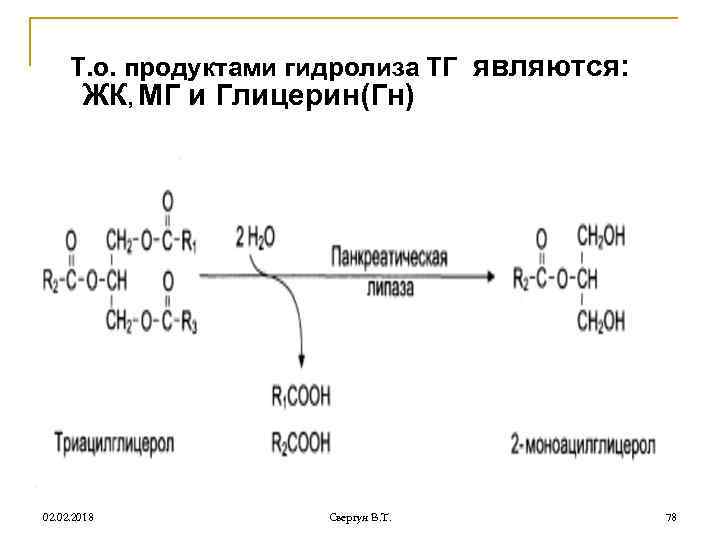 Т. о. продуктами гидролиза ТГ являются: ЖК, МГ и Глицерин(Гн) 02. 2018 Свергун В.